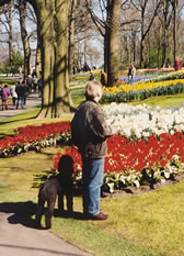 keukenhof, marius and folly