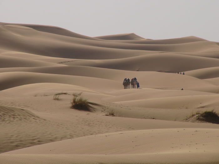 Erg Chebbi